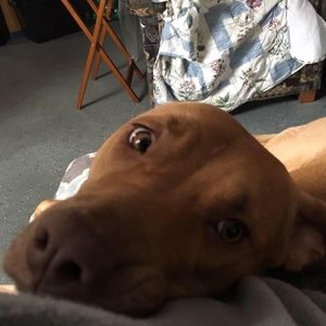 Meet your Posher, Kevin